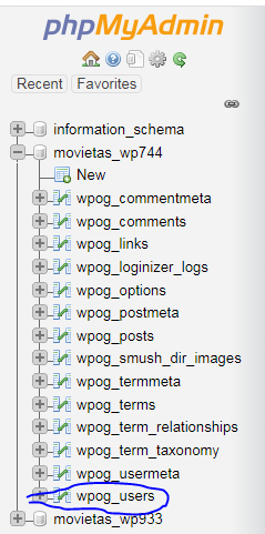 wp_users table