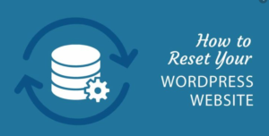 How to Reset Your WordPress Website